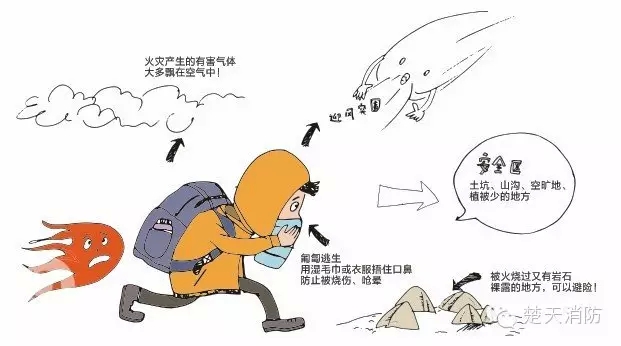 【安全宝典】遭遇山林大火,如何_20150408_13072949660434618_000