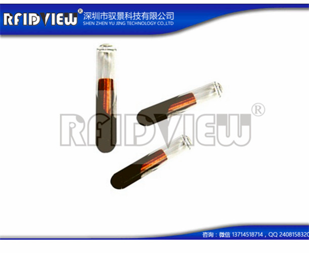 玻璃管标签
