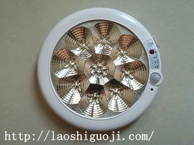 ʿӦledӦ