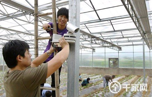 蔬菜大棚装监控 科技化管理又安全(图片来源网络)