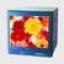 ҹӦ 21ɫ480߼