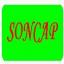 ҺӵDVDSONCAP֤