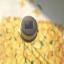 ҵͼ۹ӦD203S