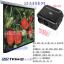 DVD΢LEDͶӰ ɲSDUϷ ͥӰԺͶӰ