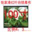 Ʒ żҸۺҶĻ 100粣Ļ