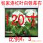 ƷżҸۺҶĻ 120Ļ Ļ