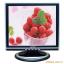 Ӧ15Һʾ LCD monitor רҵƣһ̨