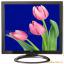 Ӧ17inch lcd monitor Һʾ
