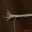 Ӧ괿ͭCat5eCat6/UTPFTP