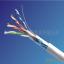 CAT5EFTP  ؼ OEM