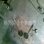 ҹ ̩TF-201105 304 316ֱ ԽƷ