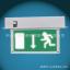 ӦɢָʾָʾLEDƬEXIT SIGN
