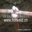 ȺģߺHOTWELD