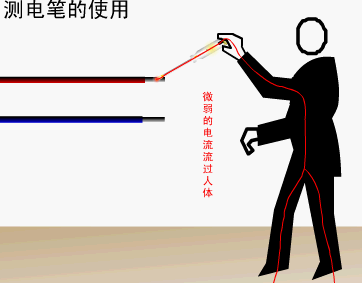 测电笔结构及使用动画